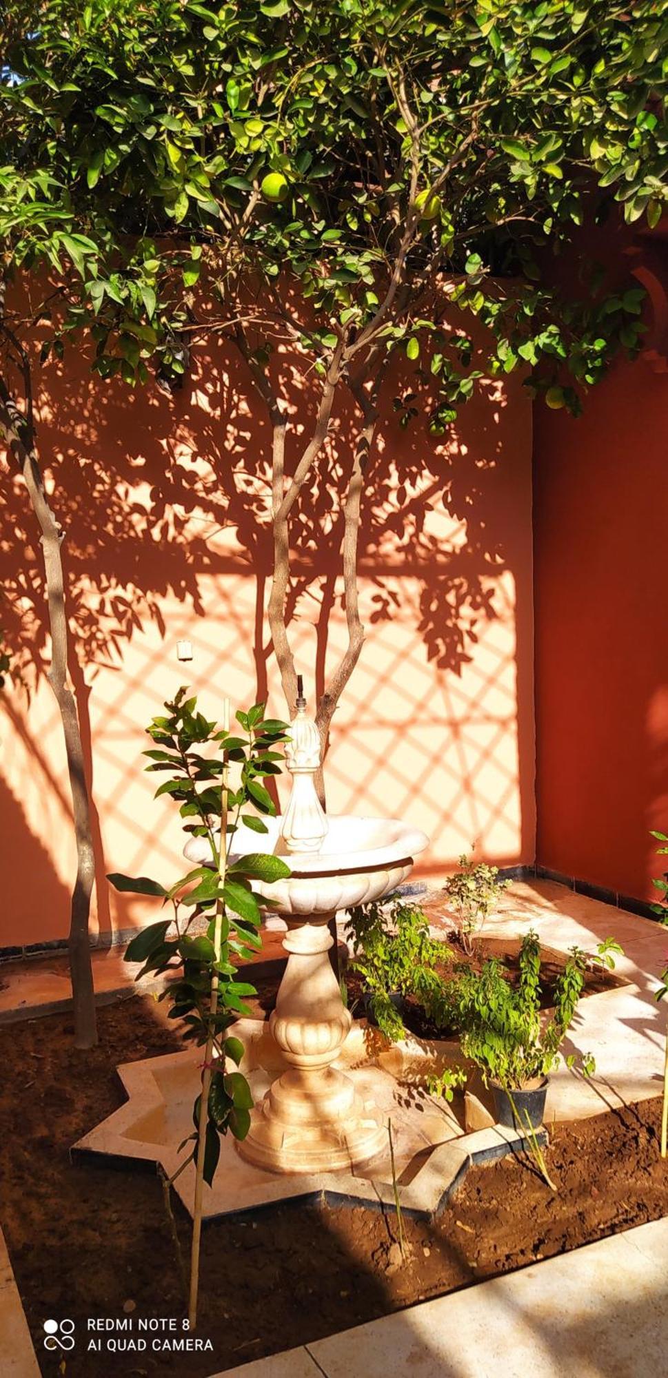 Maison D'Hotes Le Petit Jardin Marrakech Marrakesch Exterior foto